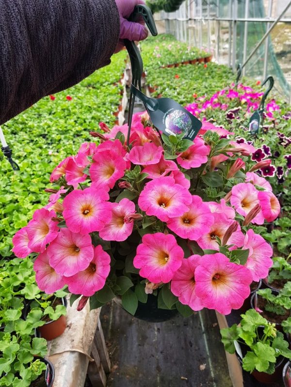 Summer Plastic Basket