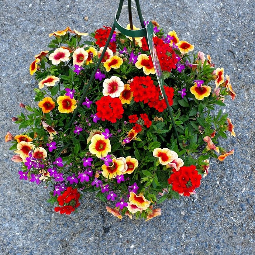 Confetti Basket